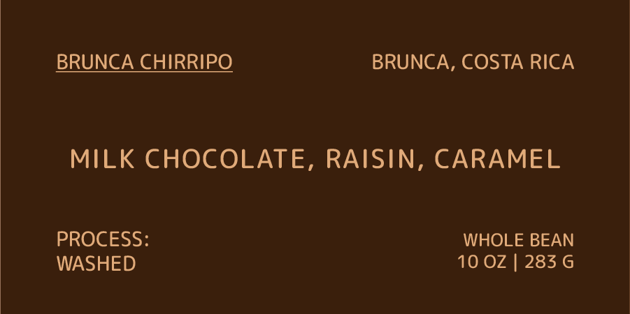 Coffee label for Brunca Chirripo from Costa Rica with chocolate flavor description