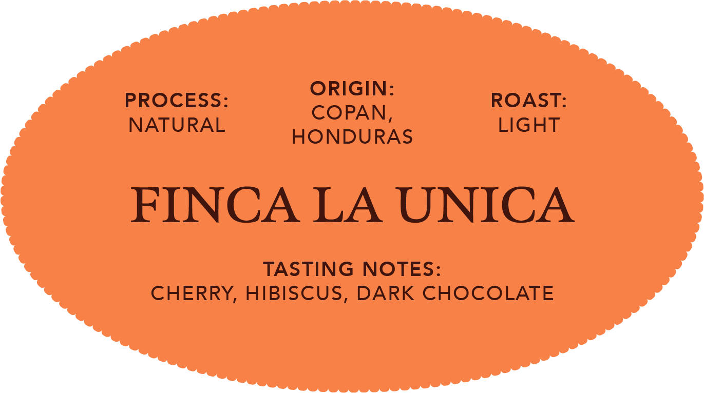 Finca La Unica | Single Origin Coffee