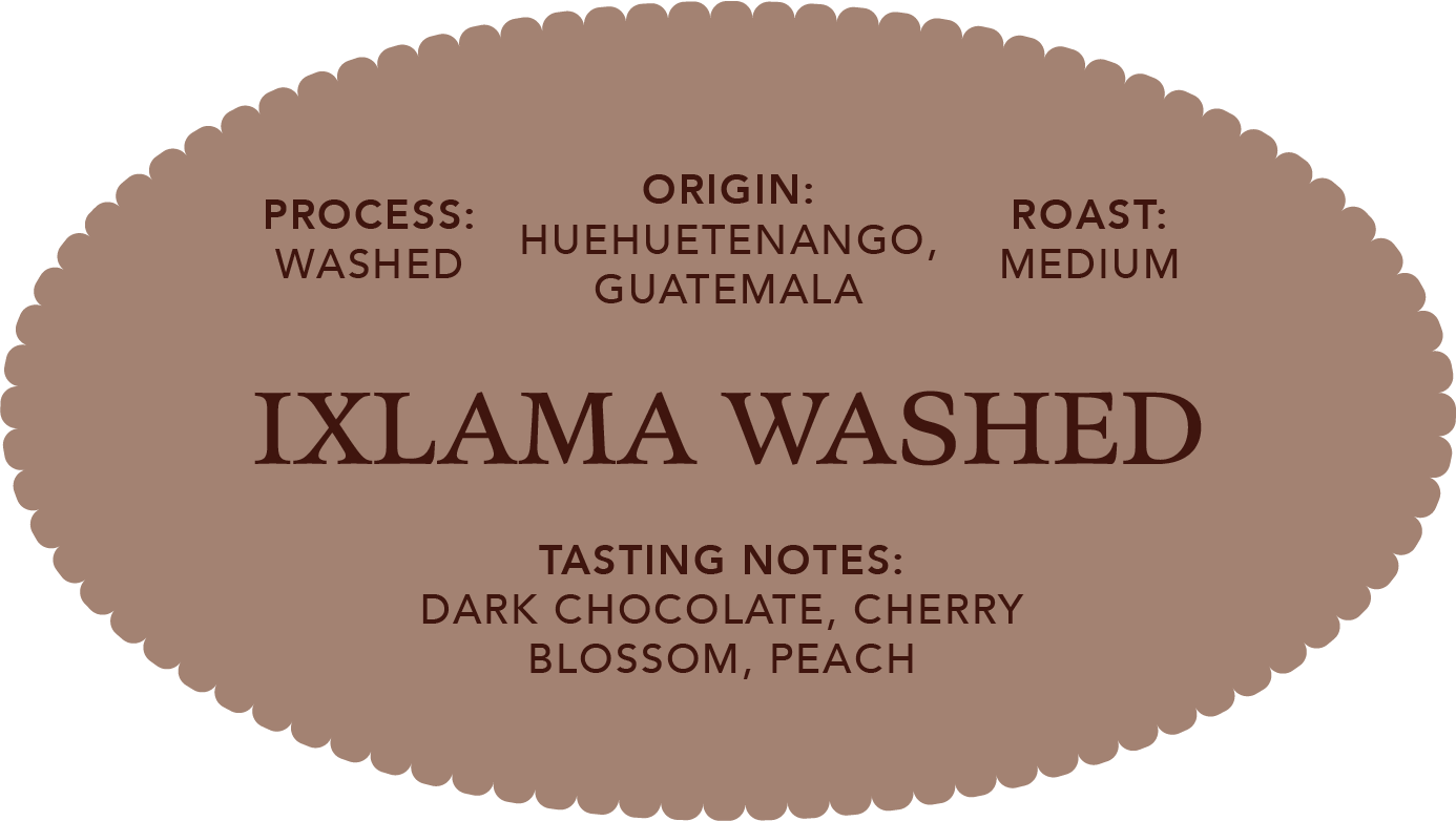 Ixlama Washed | Single Origin Coffee
