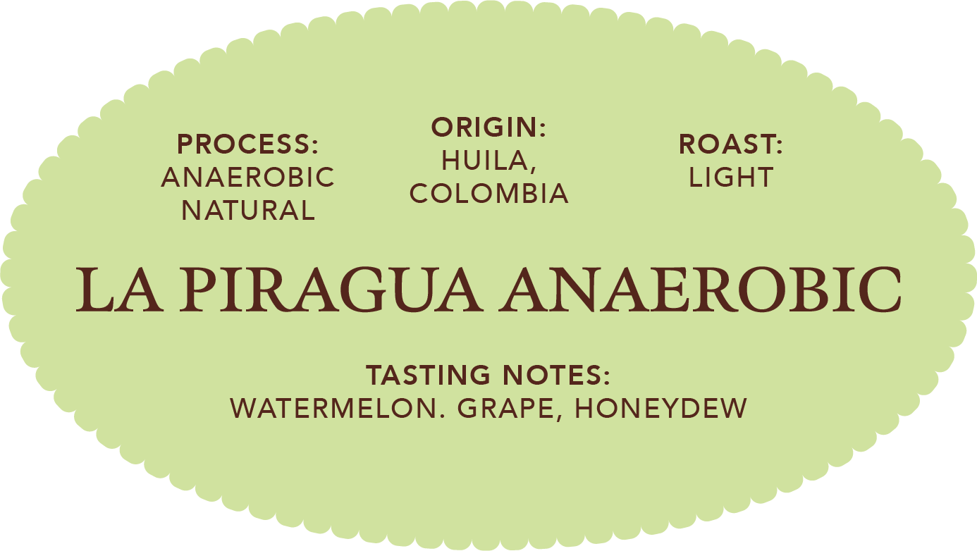 La Piragua Anaerobic Natural | Single Origin Coffee