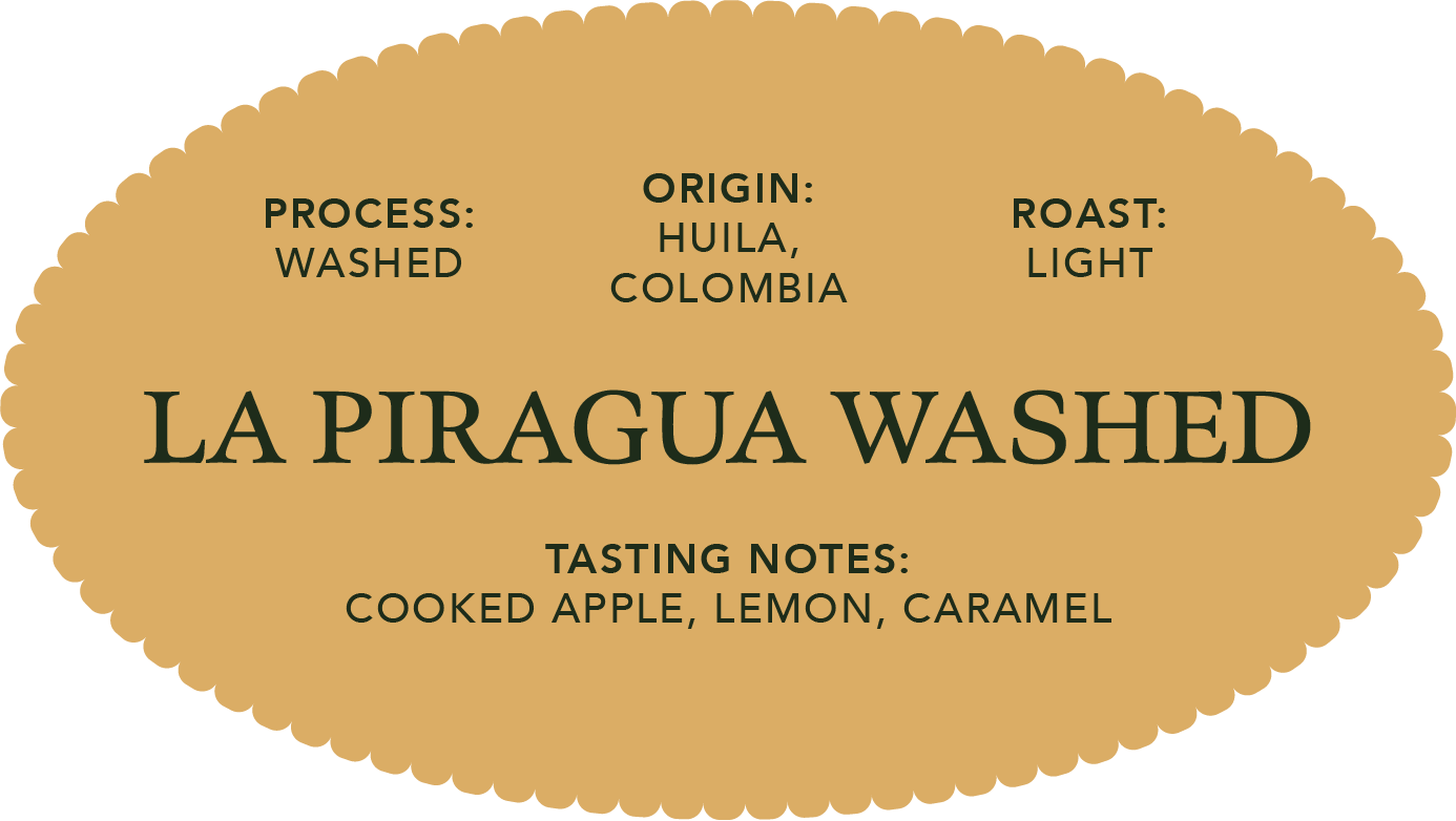 La Piragua Washed | Single Origin Coffee