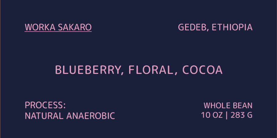 Coffee label with details on origin, flavor profile, and processing method on a dark blue background.
