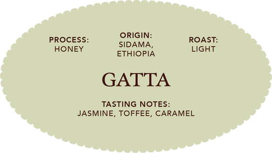 Gatta | Single Origin Coffee