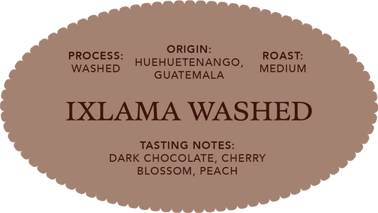 Ixlama Washed | Single Origin Coffee