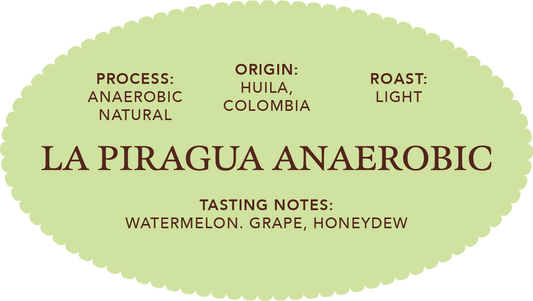 La Piragua Anaerobic Natural | Single Origin Coffee