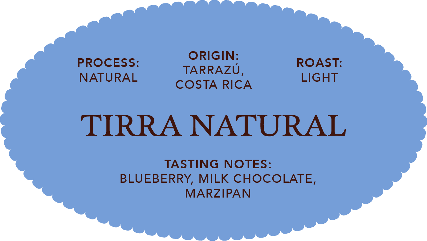 Tirra Natural | Single Origin Coffee