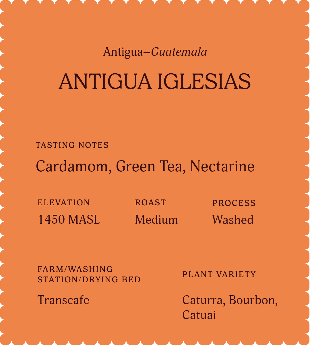 Antigua Iglesias | Single Origin Coffee