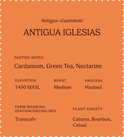 Antigua Iglesias | Single Origin Coffee