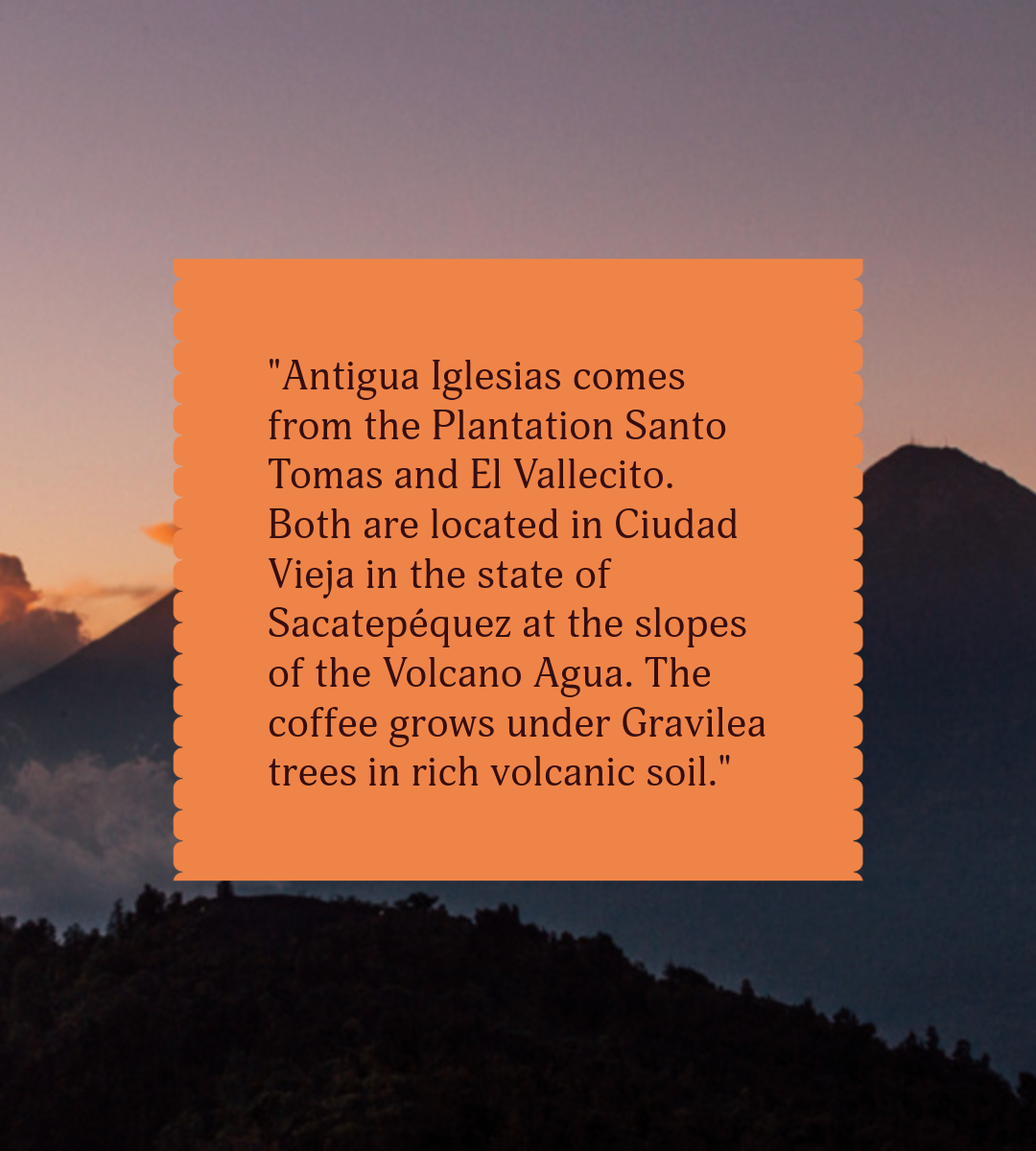Antigua Iglesias | Single Origin Coffee