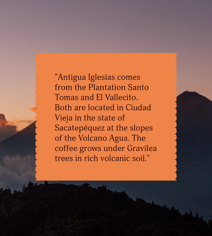 Antigua Iglesias | Single Origin Coffee