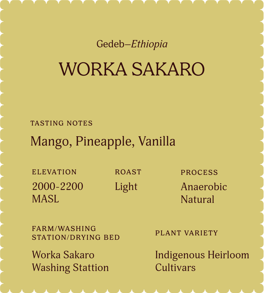 Worka Sakaro | Single Origin Coffee
